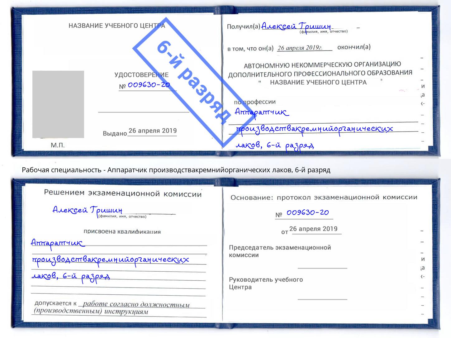 корочка 6-й разряд Аппаратчик производствакремнийорганических лаков Подольск